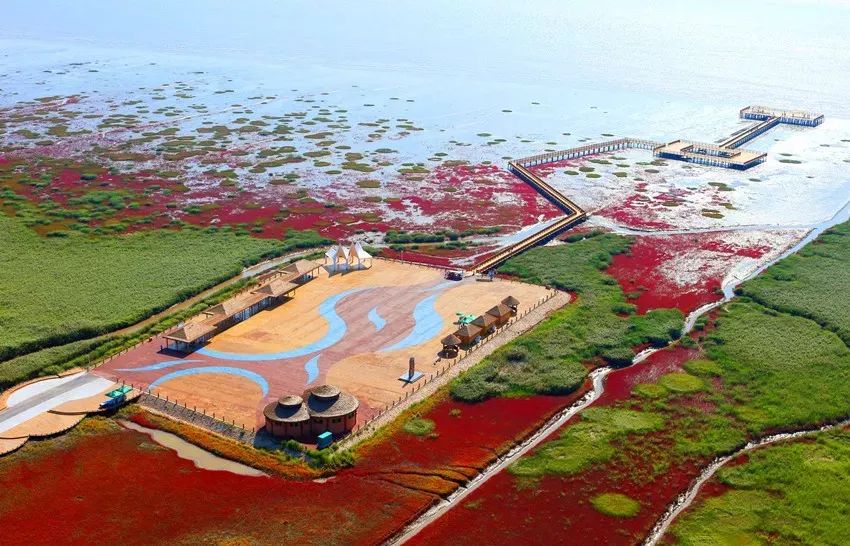 盘锦，嘉宾云集，友谊之花绽放之夜