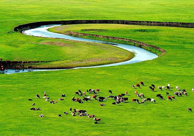 鄂尔多斯，转型挑战与机遇并存之路