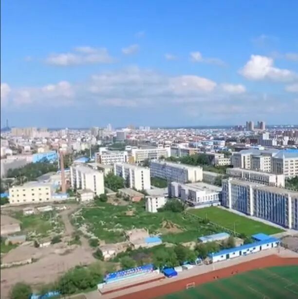 白城之旅，我的深度体验与感悟